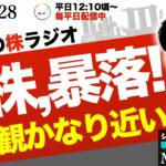【AI株暴落】垂直急落のセリングクライマックスはどうなる？感情の「動き」を止めて中長期のチャンスを見極める方法